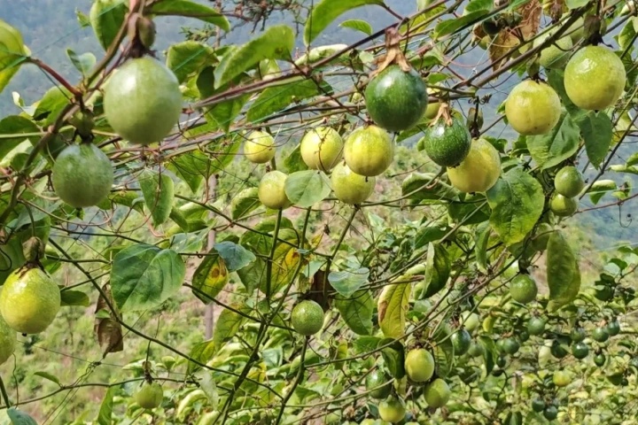 1858338157175558146.jpg 1858338157175558146.jpg